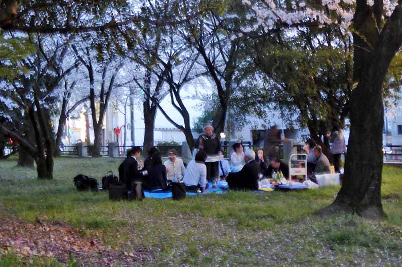 http://www.its-p21.com/active/images/20180328hanami.jpg